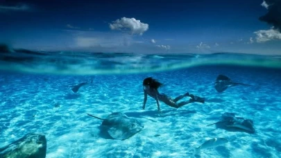 Son yüzyılın en korkutucu denizleri!