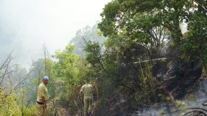 Edirne’de çıkan orman yangınına müdahale ediliyor