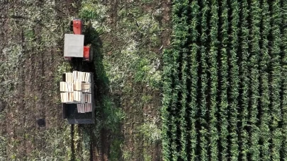 Yapay zeka destekli uydu takibi ile tarım alanlarının verimliliği artıyor