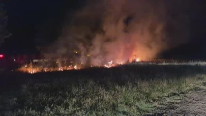 Trakya'daki yangınlarda 2 bin 750 dekar ekili alan zarar gördü