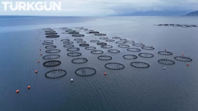 Türk somonu ihracatında hedef 1 milyar dolar