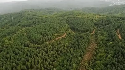 Muğla'da bazı bölgelerde ormanlara giriş yasaklandı