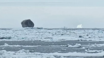 Nadir görülen siyah buzdağı şaşkına çevirdi