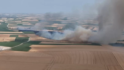 Kırklareli'nde 500 dekarlık buğday ve arpa ekili alan yandı