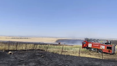 Diyarbakır'da yangın: 1000 dekar ekili alan zarar gördü