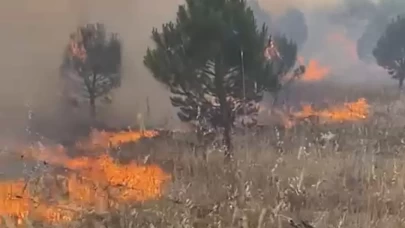 Balıkesir'de meralık alanda yangın