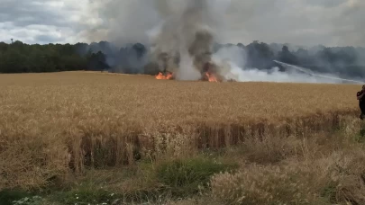 30 dönümlük buğday tarlası küle döndü