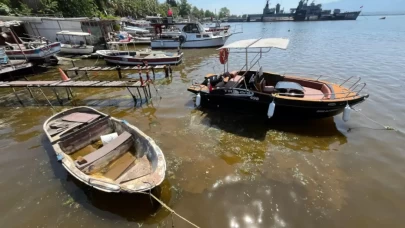 İzmit Körfezi'nde deniz kıyısı kahverengiye döndü