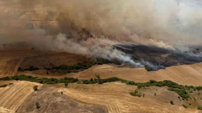 Balıkesir'de tarım arazisinde çıkan yangına müdahale ediliyor