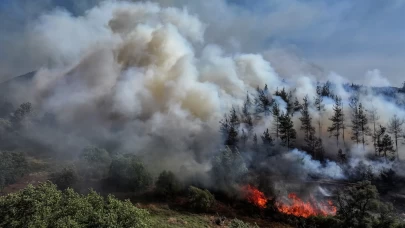 Ormanlık alana sıçrayan alevlere havadan ve karadan müdahale ediliyor