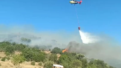 Aydın’da makilik alandaki yangın kontrol altına alındı