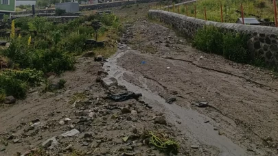 Ardahan'da sağanak nedeniyle köy yolları zarar gördü