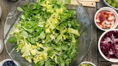 Lakto vejetaryenlik nedir?