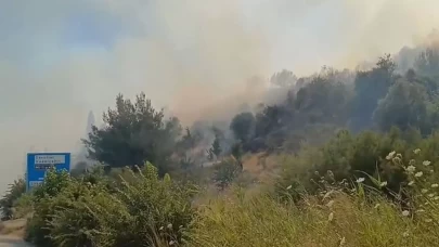 Söke’deki yangın ormana sıçradı