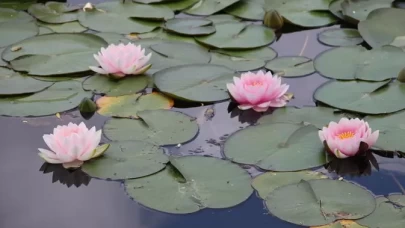 Tabelalarla uyarı geldi! Ağır cezası var