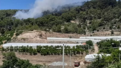 Antalya'da çıkan orman yangınına müdahale ediliyor