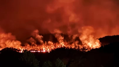 Sakarya’daki orman yangını havadan görüntülendi