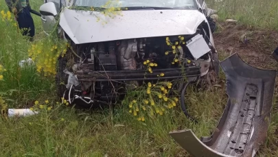 Tarlaya devrilen otomobildeki 3 kişi yaralandı