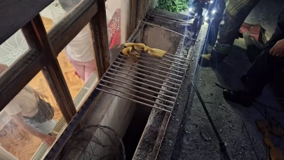 Havalandırma boşluğunda mahsur kalan 2 yavru kediyi itfaiye kurtardı