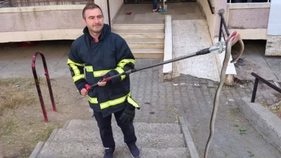 Batman'daki bir bina girişinde bulunan yılan site sakinlerini korkuttu