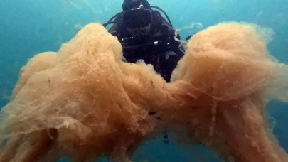 İstanbul'da tehlike büyüyor! Marmara'nın kaderi Karadeniz'e bağlı!