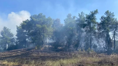 Antalya'da ormanlık alanda çıkan yangın 2 saatte kontrol altına alındı