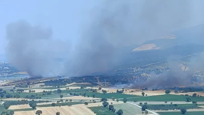 İzmir'de ormanlık alanda çıkan yangına havadan ve karadan müdahale