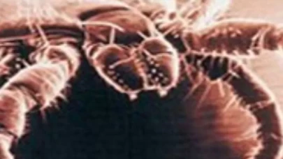 Tüm Türkiye'yi rahatlata kavuşturacak hamle...