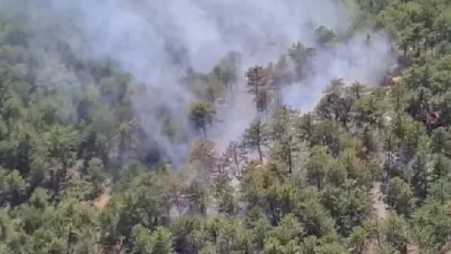 Denizli'de orman yangını