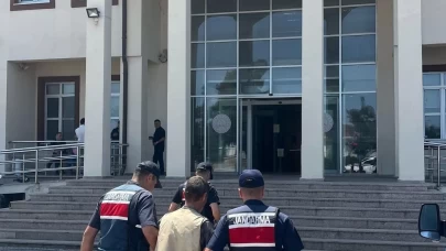 Çanakkale'de arazide 77 kök kenevir ele geçirildi: 1 tutuklama