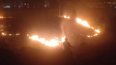 Şanlıurfa'da gece yarısı yangın paniği