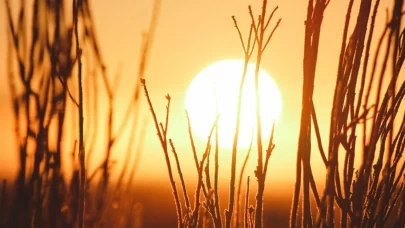 Sabah güneşi ne işe yarar? Melatonin ve D vitamini ilişkisi