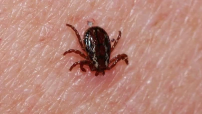 Sivas’ta tedavi gören hasta yaşamını yitirdi