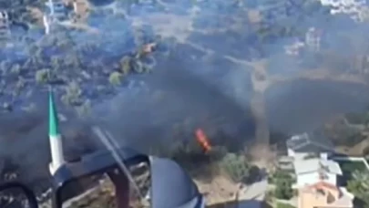 Dikili'de yangın çıktı