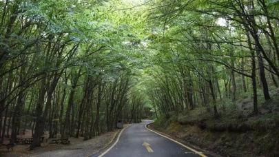 47 ilde ormanlara giriş yasaklandı