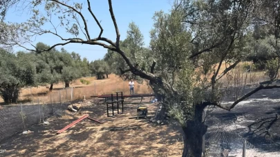 İzmir Foça’daki yangın korkuttu! Alevler evlerin bahçelerine sıçradı