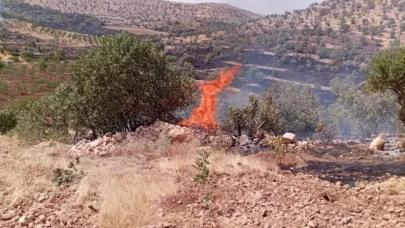Mardin’de çıkan anız ve orman yangınları söndürüldü