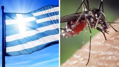 Yunanistan'da Batı Nil virüsüne karşı uyarı