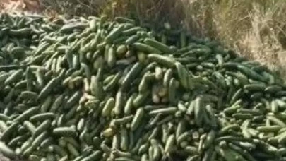 Sosyal medyada yayınlanan görüntülerin ardından bakanlık harekete geçti