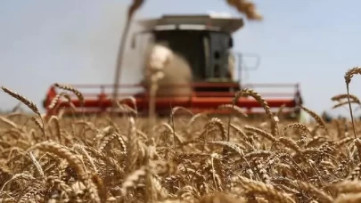 2025 yılı üretim döneminde “Buğday ve hububat alım fiyatları ne kadar oldu?”