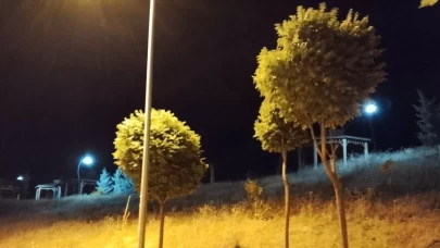 Elazığ’da kuvvetli rüzgar etkili oldu