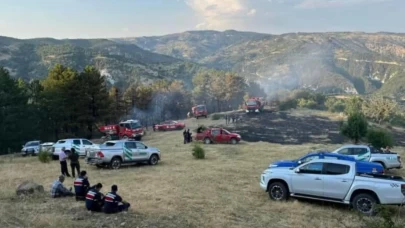 Beypazarı’nda 15 dönümlük tarla alevlere teslim oldu