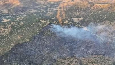3 ildeki orman yangınları büyük oranda kontrol altında