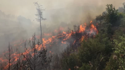 Lazkiye'de orman yangınına müdahalede 4. gün!
