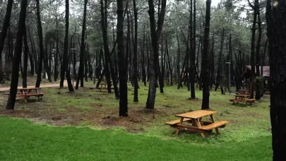 Adıyaman'da ormanlık alanlara girişler yasaklandı