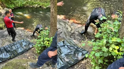 Serinlemek için girdiği şelalede boğuldu