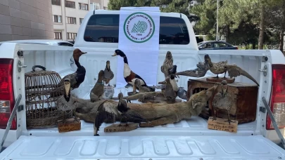 Afyonkarahisar’da 14 tahnit hayvan ve 2 kafes ele geçirildi