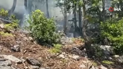 Osmaniye’deki orman yangını kontrol altına alındı