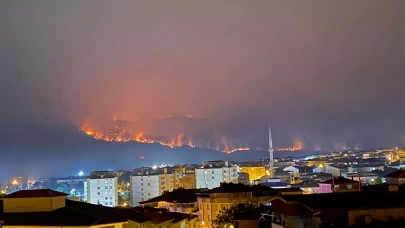 Bilecik'teki yangında alevler ilçe merkezine doğru ilerliyor