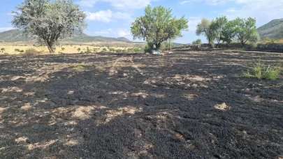 Beyşehir’de arazi ve ahır yangını korkuttu